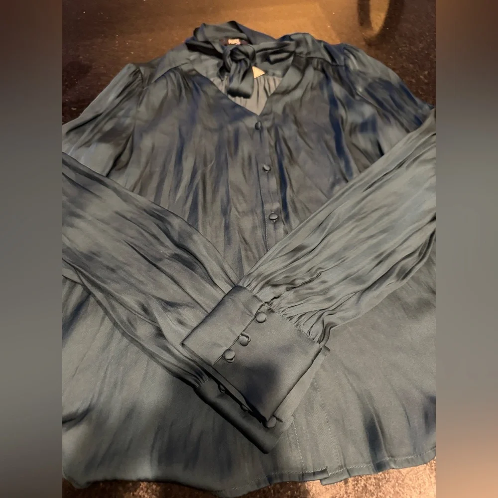 CLEOBELLE DARK SPRUCE BLOUSE - Picture 7 of 9